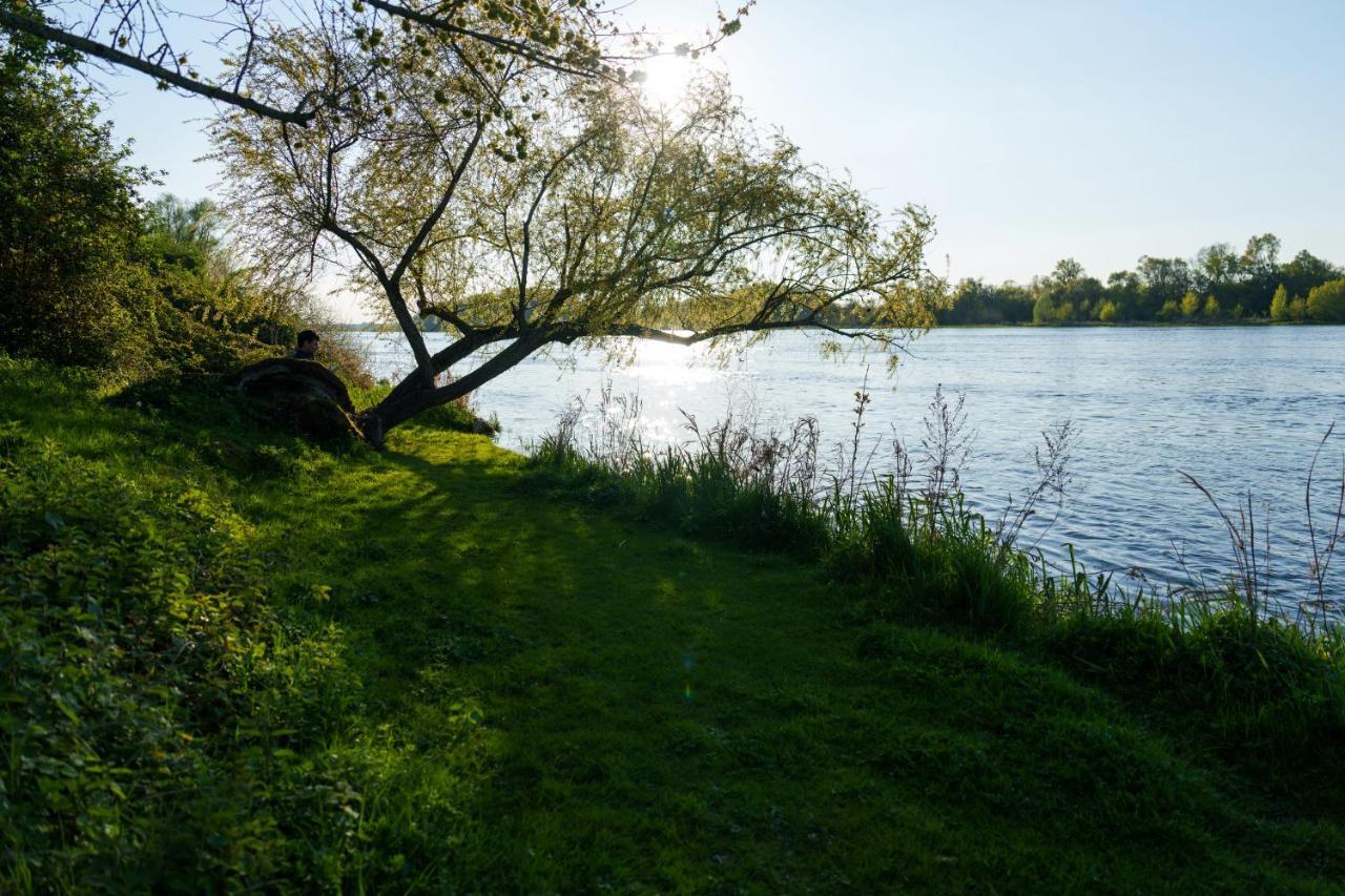 Saint-Dyé-sur-LoireDome Avec Vue Sur Loire Proche De Chambord别墅 外观 照片